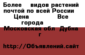 Более200 видов растений почтой по всей России › Цена ­ 100-500 - Все города  »    . Московская обл.,Дубна г.